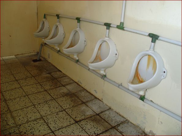 10 Ml�ka - hygienick� standard podle kempu